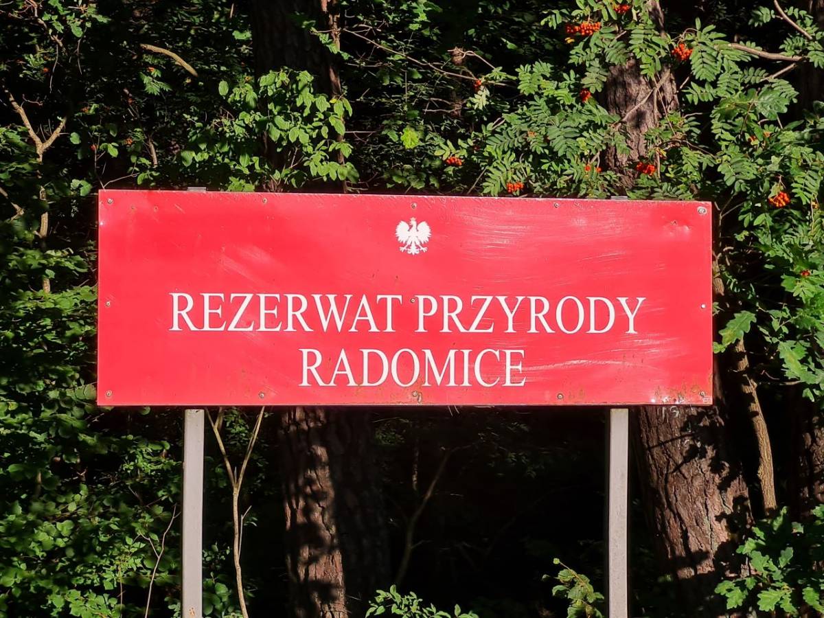 Rezerwat Przyrody Radomice Świętokrzyskie szlaki turystyczne