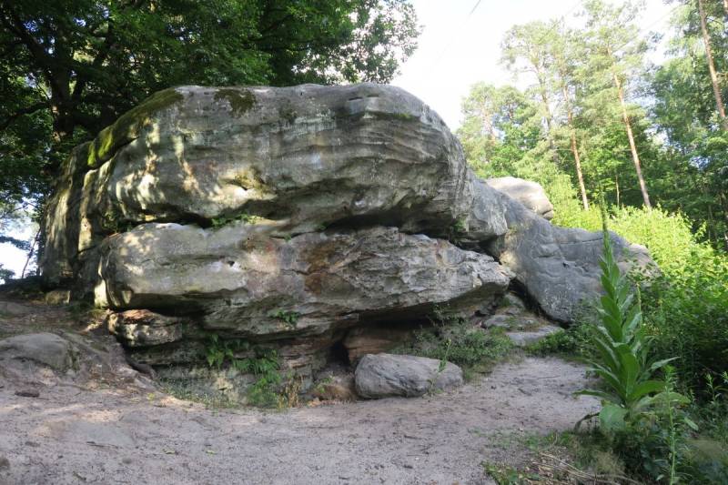 Rezerwat Skały pod Adamowem