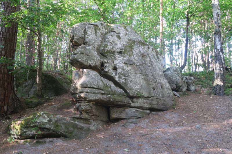 Rezerwat Skały pod Adamowem