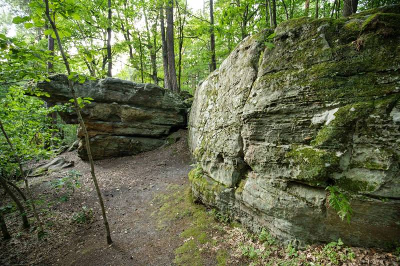 Rocks near Adamów Nature Reserve