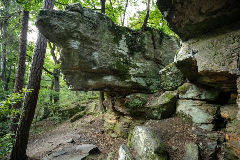 Rezerwat Skały pod Adamowem