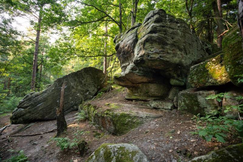 Rezerwat Skały pod Adamowem