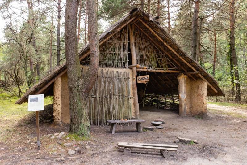 Archeological museum and “Krzemionki” Nature Reserve (UNESCO)