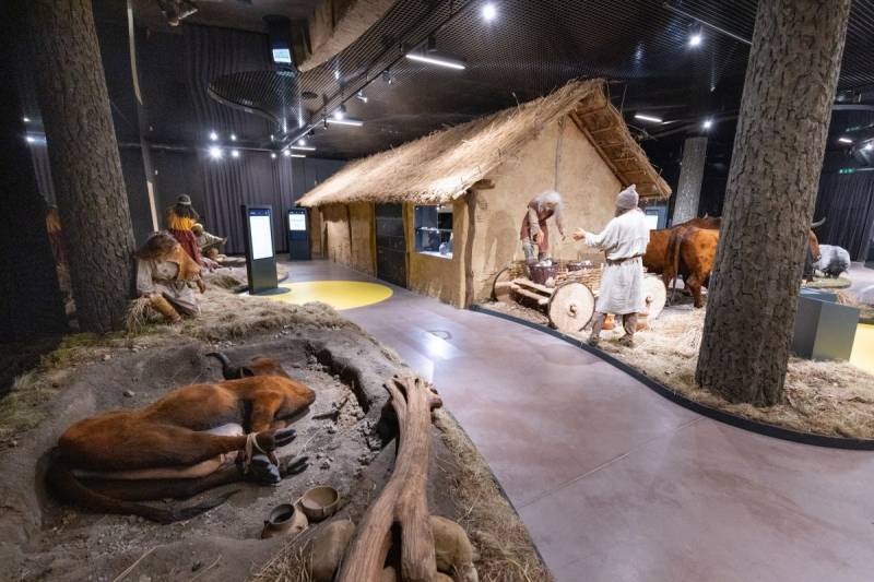 Archeological museum and “Krzemionki” Nature Reserve (UNESCO)