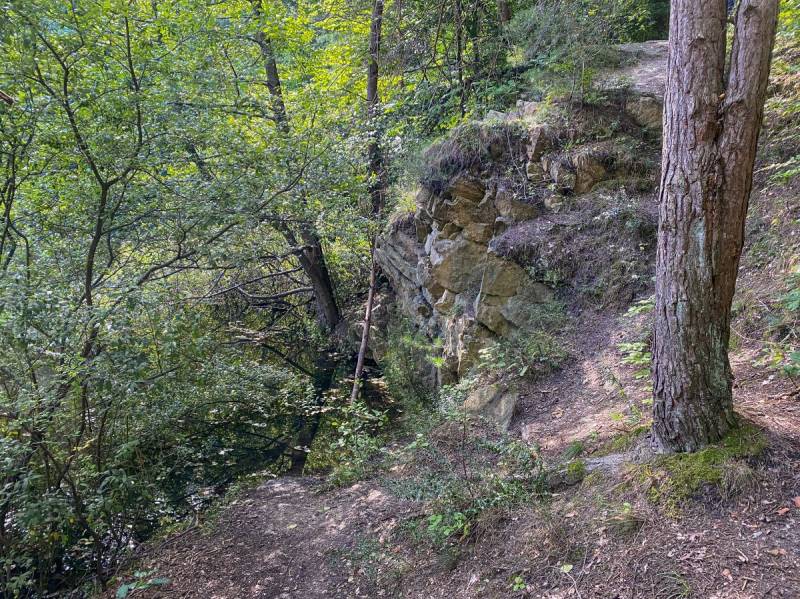 Biesak-Białogon Nature Reserve in Kielce