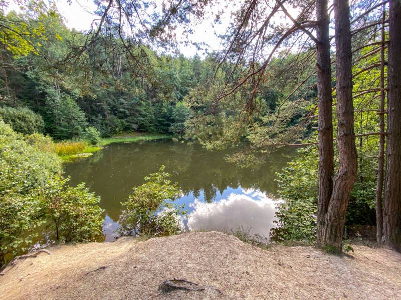 Biesak-Białogon Nature Reserve in Kielce