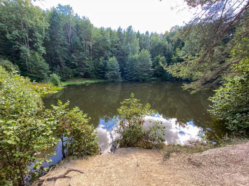 Biesak-Białogon Nature Reserve in Kielce