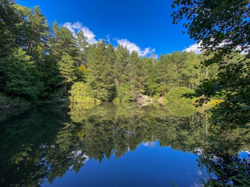 Biesak-Białogon Nature Reserve in Kielce