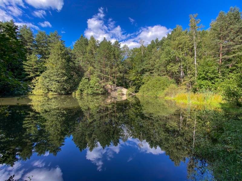 Biesak-Białogon Nature Reserve in Kielce