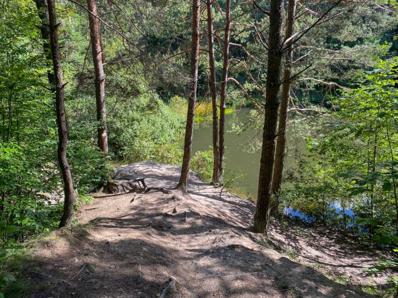 Biesak-Białogon Nature Reserve in Kielce