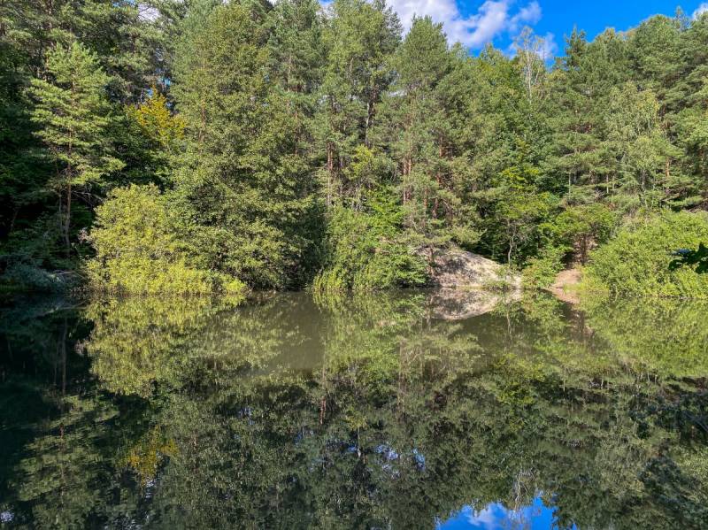 Biesak-Białogon Nature Reserve in Kielce