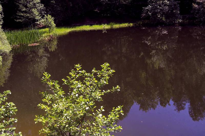 Biesak-Białogon Nature Reserve in Kielce