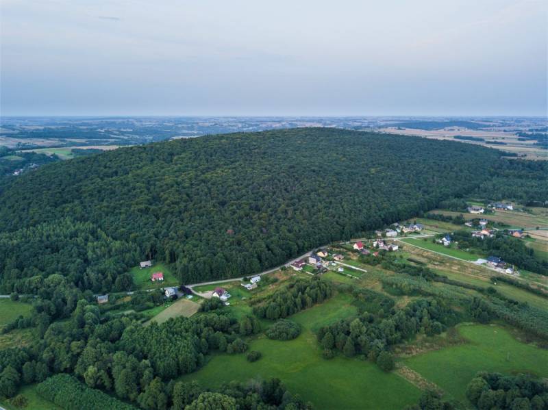 Chełmowa Góra Nature Reserve