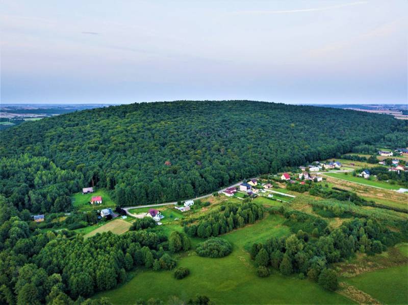 Chełmowa Góra Nature Reserve