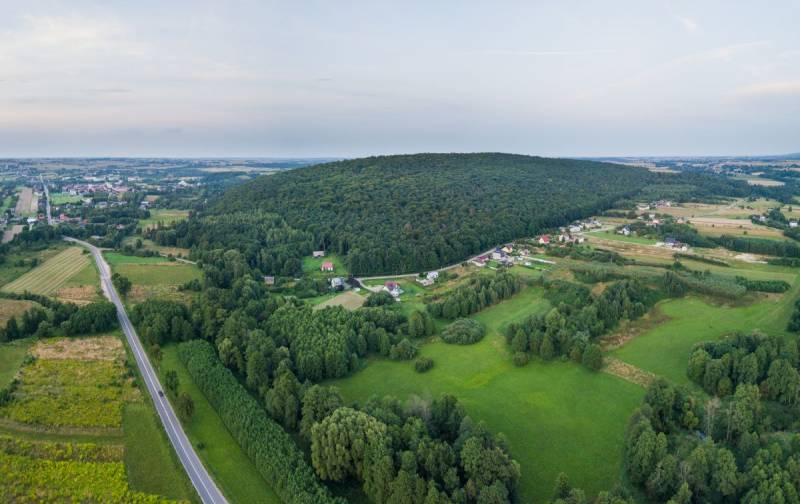 Chełmowa Góra Nature Reserve