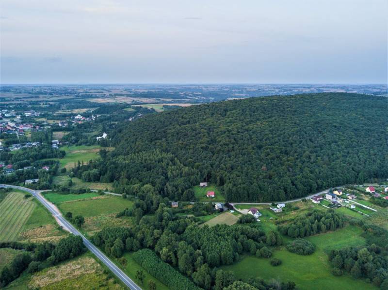 Chełmowa Góra Nature Reserve