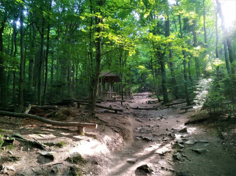 Świętokrzyskie National Park