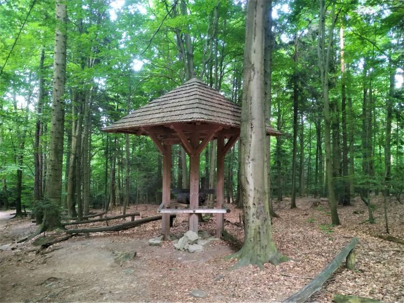 Świętokrzyskie National Park