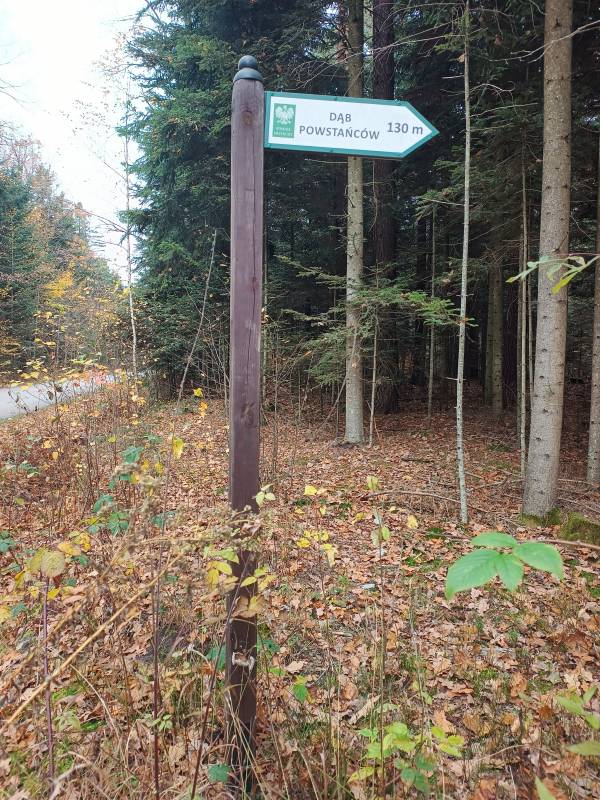 Drogowskaz przy drodze